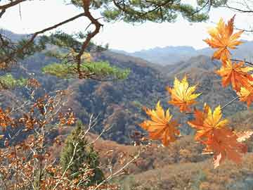 澳门龙门客栈图库与神州大地的独特魅力